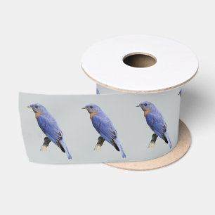 Lazo De Raso Bluebirds