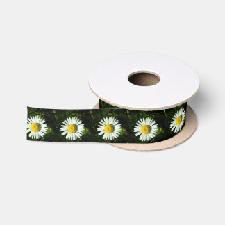 Lazo De Raso Bright Daisy