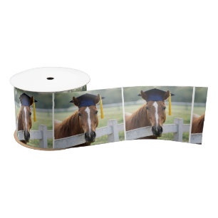 Lazo De Raso Caballo con gorra de graduado
