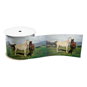 Lazo De Raso Caballos/Cabalos/Horses