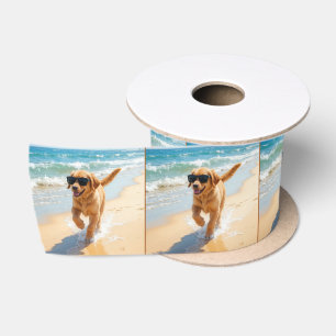 Lazo De Raso Cachorro de Golden Retriever Caminando por la Play