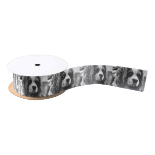 Lazo De Raso Cavalier King Charles Spaniel