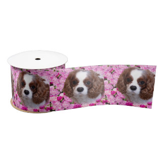 Lazo De Raso Cavalier King Charles Spaniel Peonías