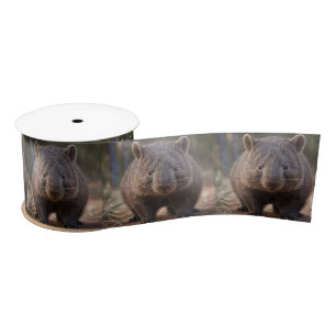 Lazo De Raso Chubby The Australian Wombat,