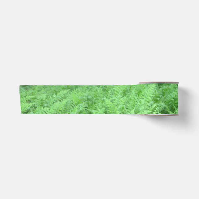 Lazo De Raso Cinta de foto de helecho (Anverso)