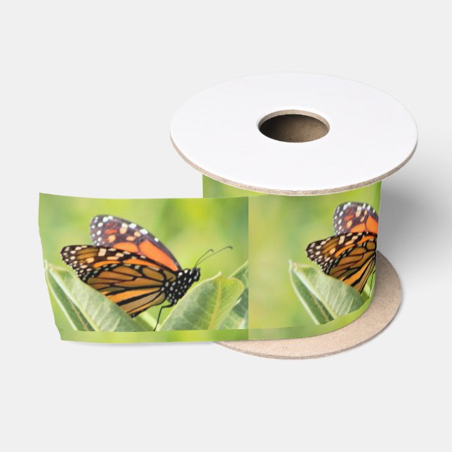 Lazo De Raso Cinta de mariposa monarca (Carrete)