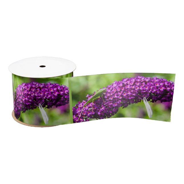 Lazo De Raso cinta de satén de energía de katydid (Carrete)