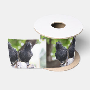 Lazo De Raso Cinta raven