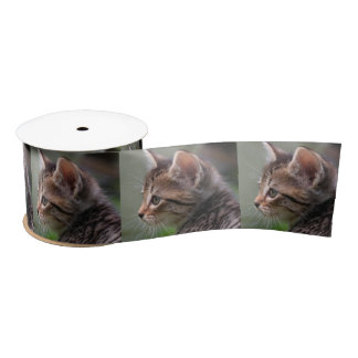 Lazo De Raso Cinta satby cat gatito retrato de 3" satinado