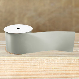 Lazo De Raso Color sólido del sabio blanco