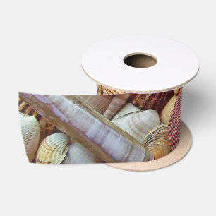 Lazo De Raso Conchas de mar
