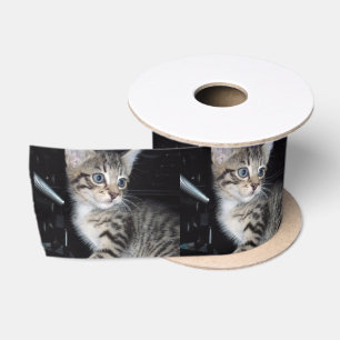 Lazo De Raso Cuidado con el gatito,