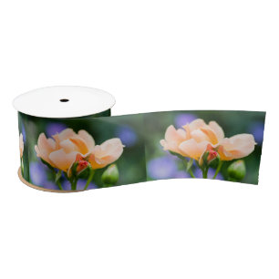 Lazo De Raso deseo de desarrollo