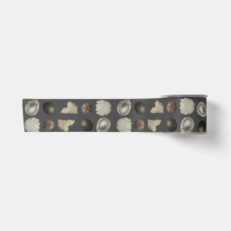 Lazo De Raso Extravaganza de conchas marinas