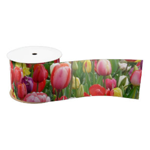 Lazo De Raso Festival de Tulip