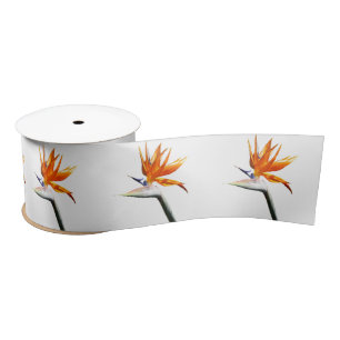 Lazo De Raso Flor tropical naranja Ave del Paraíso
