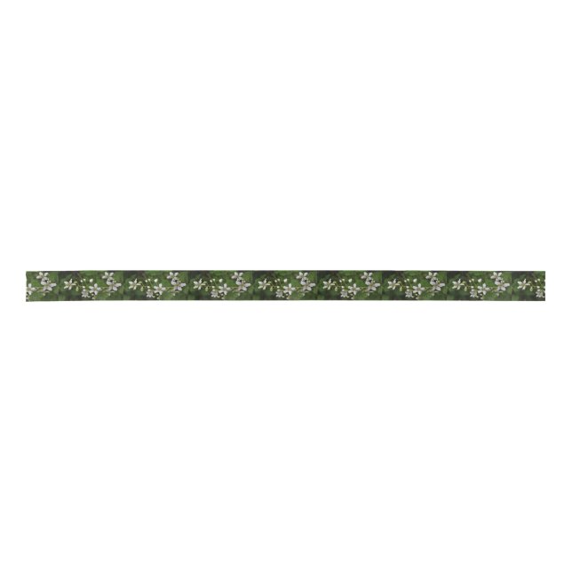 Lazo De Raso Flores de Blackberry (Anverso)