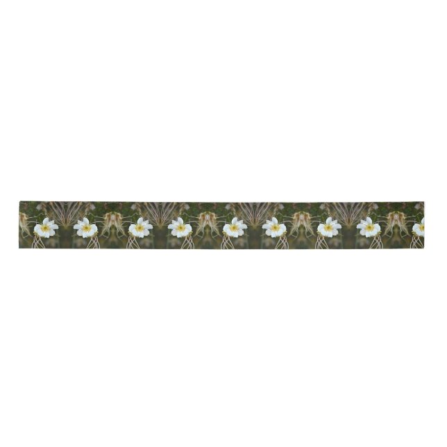 Lazo De Raso Flores del desierto (Anverso)