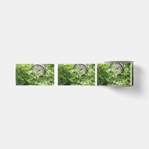 Lazo De Raso Foto de vegetación de reloj de ducha de novia
