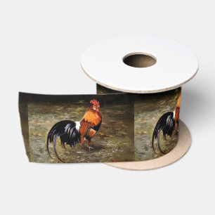 Lazo De Raso Gallo/Galo/Rooster