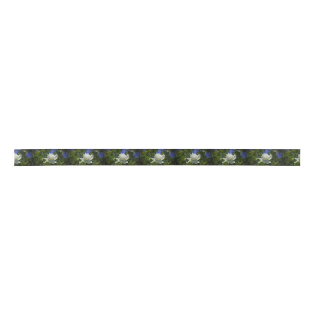 Lazo De Raso Gardenia (Anverso)