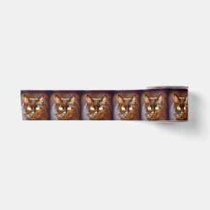 Lazo De Raso gatos negros
