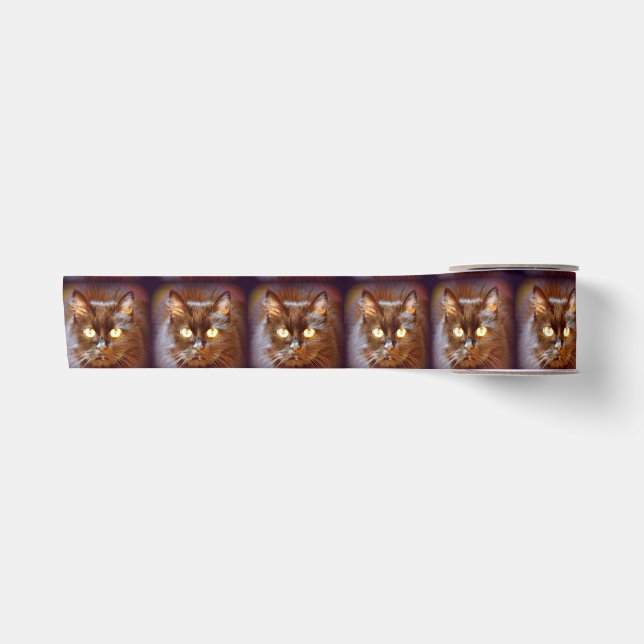 Lazo De Raso gatos negros (Anverso)