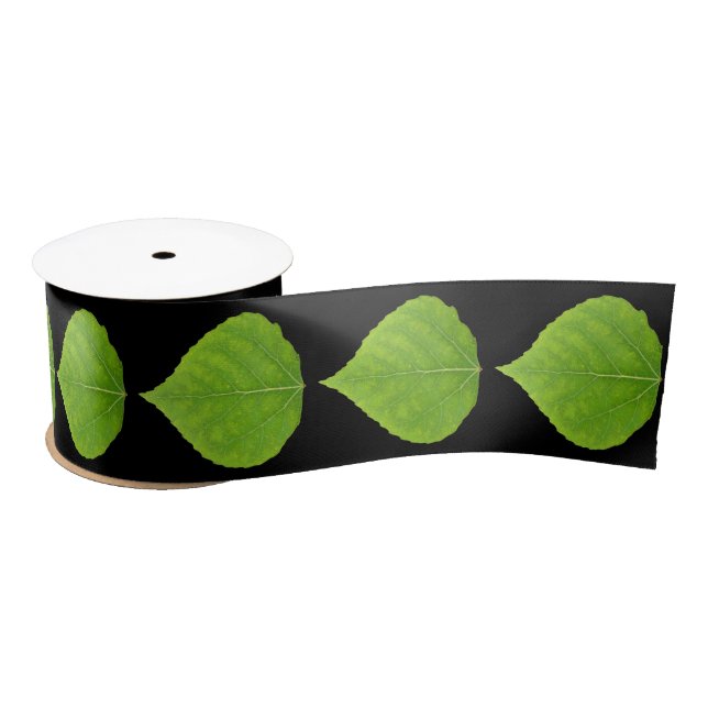 Lazo De Raso Hoja verde de lápiz #11 (Carrete)