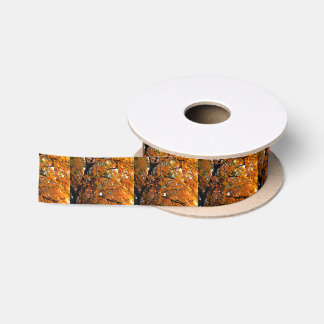 Lazo De Raso Hojas de Amber en otoño