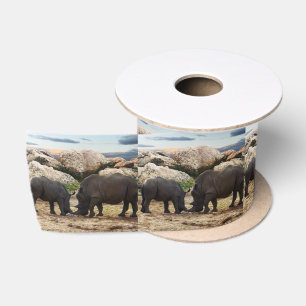 Lazo De Raso Lección de vida de Rhinoceros del Bebé,
