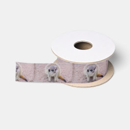 Lazo De Raso Meerkat