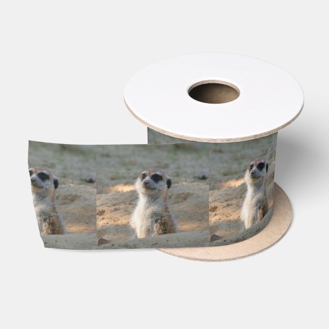 Lazo De Raso Meerkat 004 (Carrete)