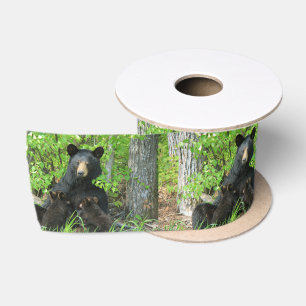 Lazo De Raso Naturaleza de los osos negros de la enfermería