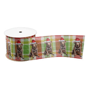 Lazo De Raso Navidades de Plaid Dog Lover Chocolate Labrador