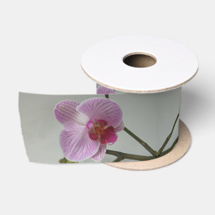 Lazo De Raso Orquídea