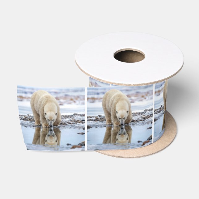 Lazo De Raso Oso Polar Mirando su Reflejo (Carrete)