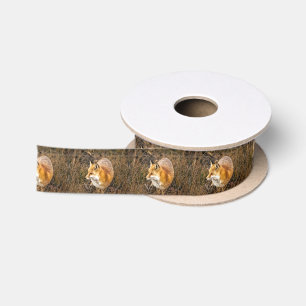 Lazo De Raso papel de embalaje del zorro, papel de regalo del