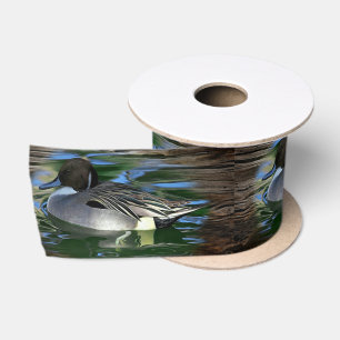 Lazo De Raso Pato En El Lago