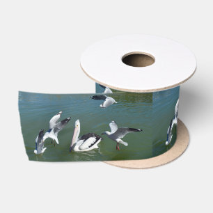 Lazo De Raso Pelican And The Gate Crashers,