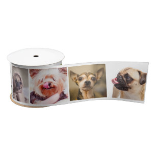 Lazo De Raso Perros cortos o la cinta personalizado de sus FOTO