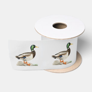 Lazo De Raso Pintura de pato real para cazadores y amantes del