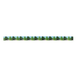 Lazo De Raso Pistas del tren del condado de Raleigh