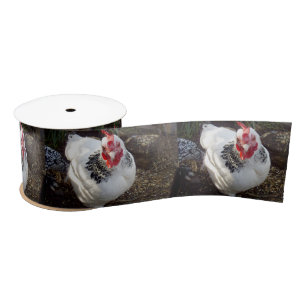 Lazo De Raso Pollo Negro Y Blanco Con Pecas,