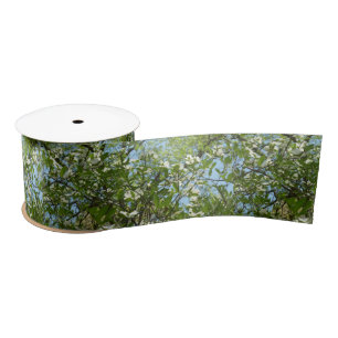 Lazo De Raso Ramas de flores de cornejo Árboles de primavera