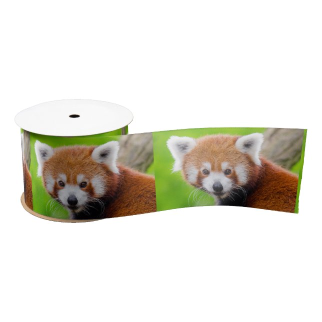 Lazo De Raso Red Panda (Carrete)