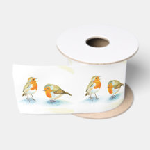 Robins rojos en invierno