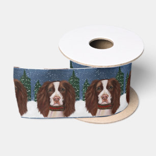 LAZO DE RASO SPRINGER SPANIEL INGLÉS      