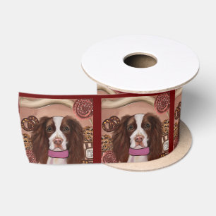 Lazo De Raso Springer Spaniel Inglés   