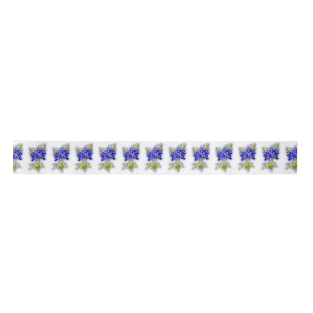 Lazo De Raso Texas Bluebonnets sobre blanco con enfoque suave, (Anverso)