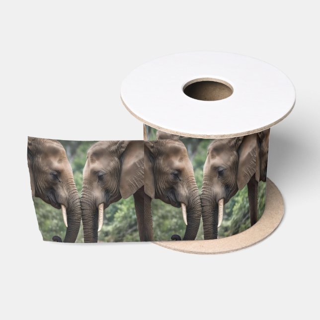Lazo De Raso "Trunk to Trunk: A Gentelphant Embrace" (Carrete)